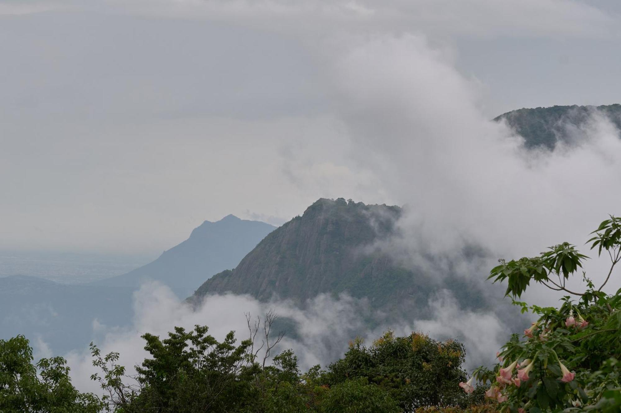 De Rock Jungle Living Resort Coonoor Dış mekan fotoğraf