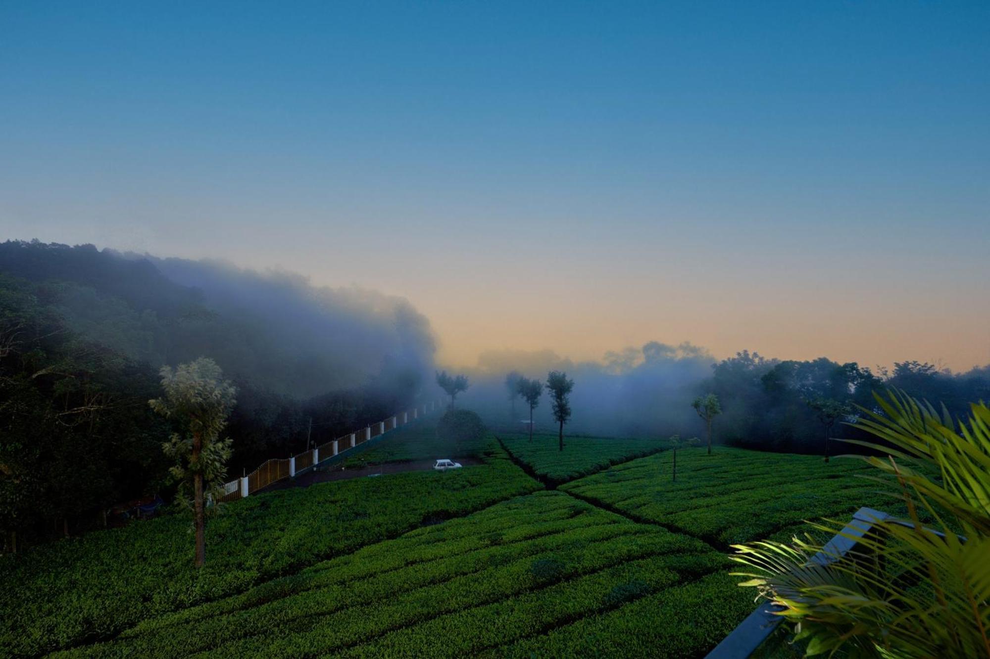 De Rock Jungle Living Resort Coonoor Dış mekan fotoğraf