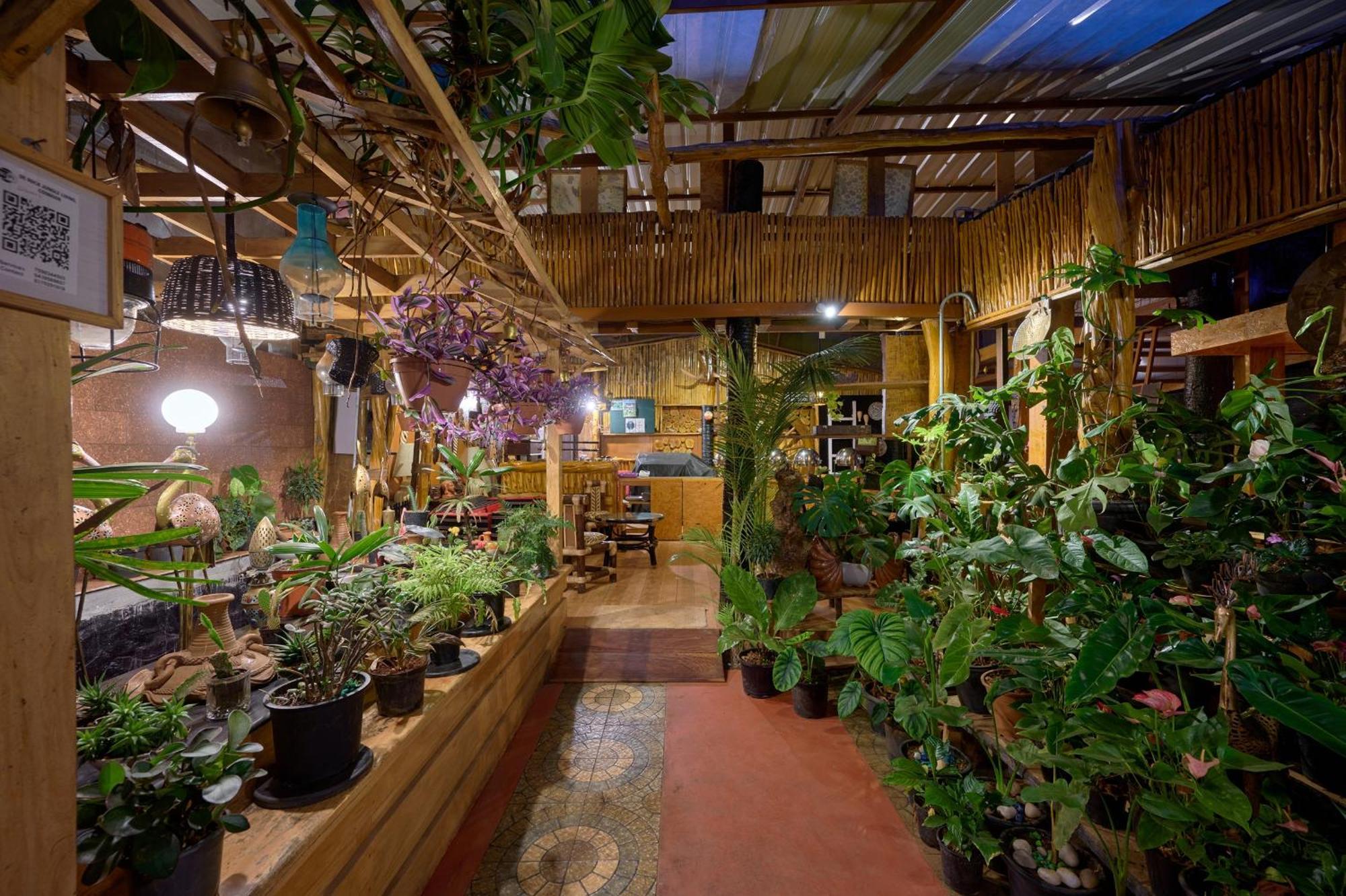 De Rock Jungle Living Resort Coonoor Dış mekan fotoğraf
