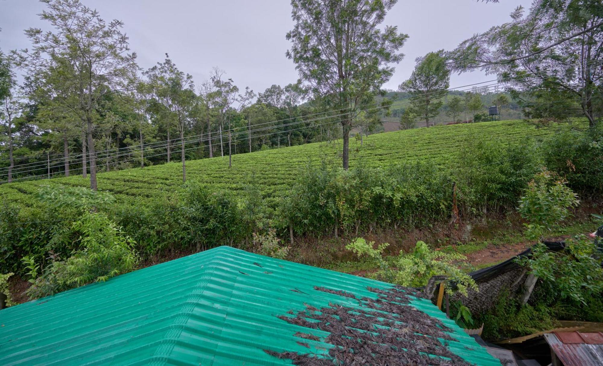 De Rock Jungle Living Resort Coonoor Dış mekan fotoğraf